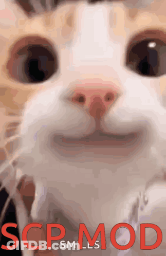 A Close Up Of A Cat 'S Face With Scp Mod Written In Red Letters GIF