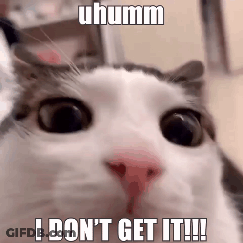 A Close Up Of A Cat 'S Face With The Caption I Don 'T Get It !! GIF