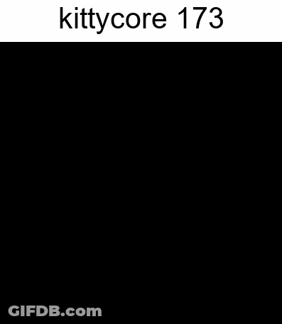 A Close Up Of A Cat 'S Face With The Text Kittycore 173 GIF