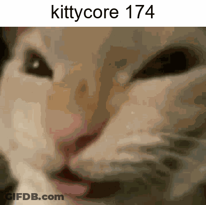 A Close Up Of A Cat 'S Face With The Text Kittycore 174 GIF