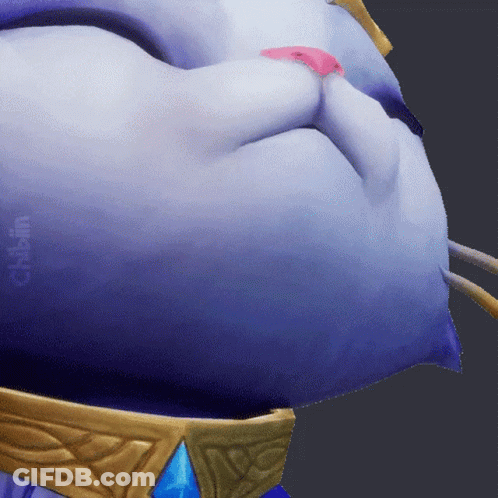 A Close Up Of A Cat 'S Face With The Word Cisplin Visible GIF