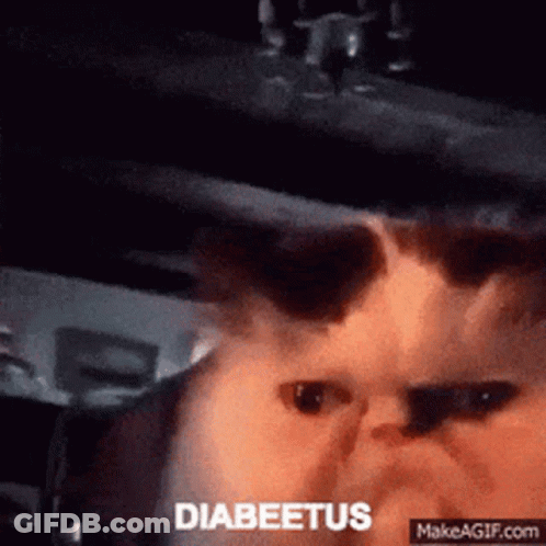 A Close Up Of A Cat 'S Face With The Word Diabeetus On The Bottom GIF