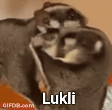 A Close Up Of A Cat 'S Face With The Word Lukli Written On It . GIF