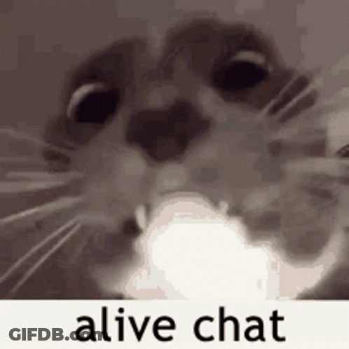 A Close Up Of A Cat 'S Face With The Words `` Alive Chat '' Written On It . GIF