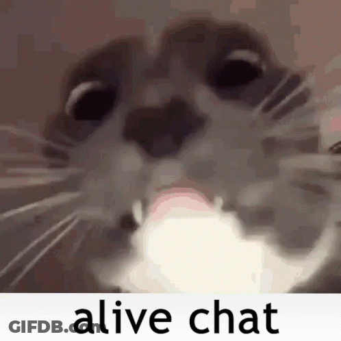 A Close Up Of A Cat 'S Face With The Words `` Alive Chat '' Written On The Bottom . GIF