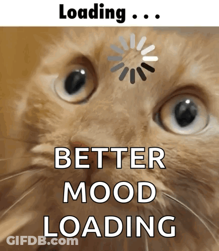 A Close Up Of A Cat 'S Face With The Words " Better Mood Loading " Below It GIF