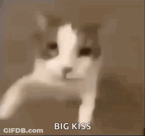 A Close Up Of A Cat 'S Face With The Words `` Big Kiss '' Written In The Corner . GIF