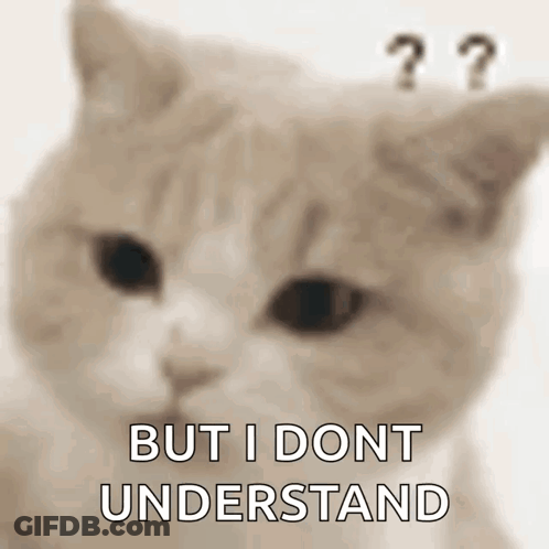 A Close Up Of A Cat 'S Face With The Words `` But I Dont Understand '' Above It . GIF