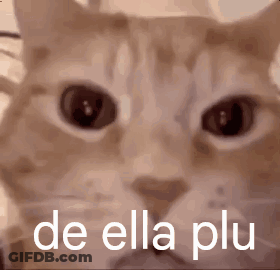 A Close Up Of A Cat 'S Face With The Words De Ella Plu On It GIF