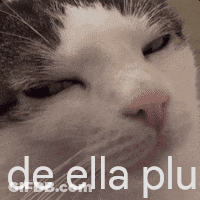 A Close Up Of A Cat 'S Face With The Words De Ella Plu Written Below It . GIF