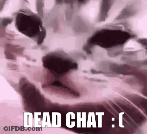A Close Up Of A Cat 'S Face With The Words `` Dead Chat : '' Written On It . GIF