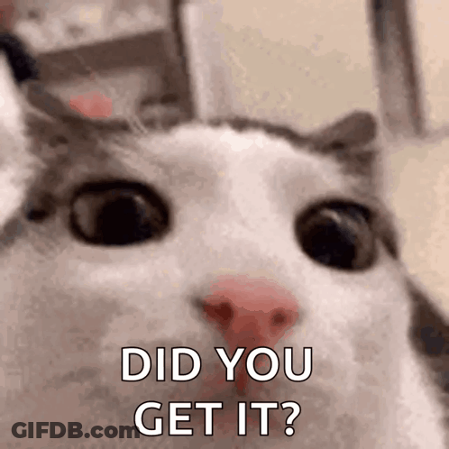 A Close Up Of A Cat 'S Face With The Words `` Did You Get It '' Written Above It . GIF