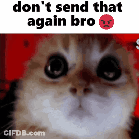 Close Up Of Cat Face Don T Send That Again Bro GIF