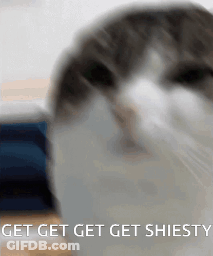 A Close Up Of A Cat 'S Face With The Words Get Get Get Shiesty Written Below It GIF