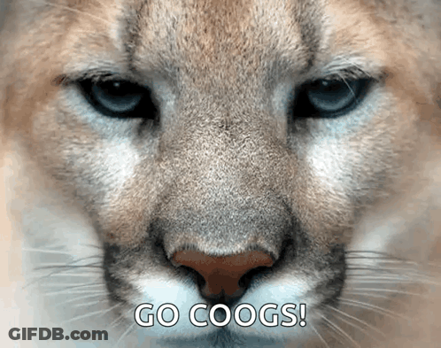 A Close Up Of A Cat 'S Face With The Words Go Coogs Written Below It GIF