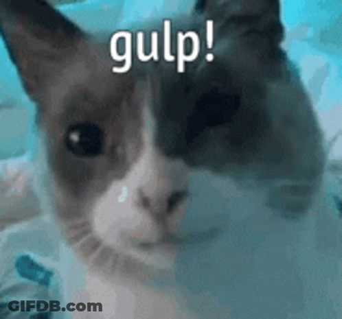 A Close Up Of A Cat 'S Face With The Words Gulp Written Above It . GIF