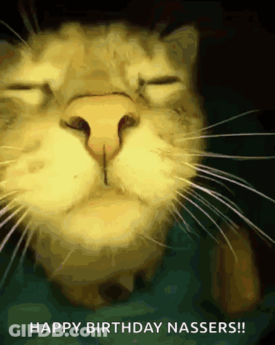 A Close Up Of A Cat 'S Face With The Words " Happy Birthday Nassers " Below It GIF