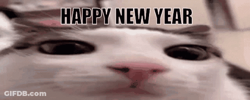A Close Up Of A Cat 'S Face With The Words `` Happy New Year '' Written In The Background . GIF