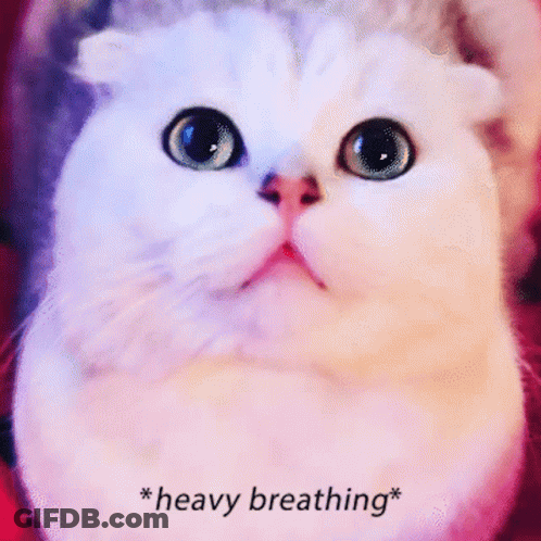 A Close Up Of A Cat 'S Face With The Words * Heavy Breathing * Above It GIF