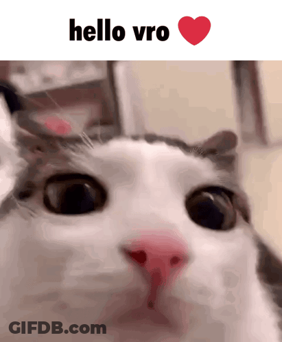 A Close Up Of A Cat 'S Face With The Words Hello Vro Written Above It GIF