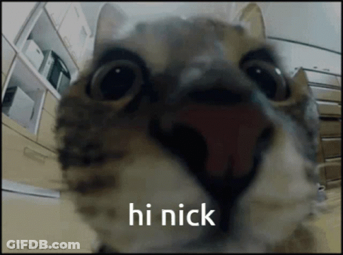 A Close Up Of A Cat 'S Face With The Words Hi Nick On The Bottom GIF