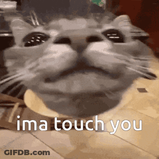 A Close Up Of A Cat 'S Face With The Words `` I 'M A Touch You '' Written On It . GIF