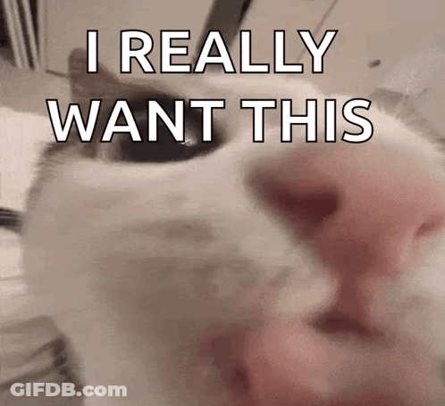 A Close Up Of A Cat 'S Face With The Words I Really Want This Written On It . GIF