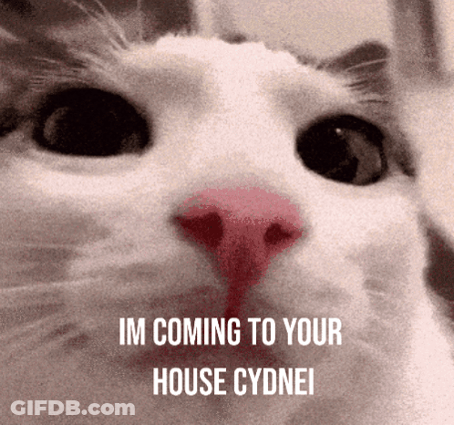 A Close Up Of A Cat 'S Face With The Words Im Coming To Your House Cdynei On The Bottom GIF