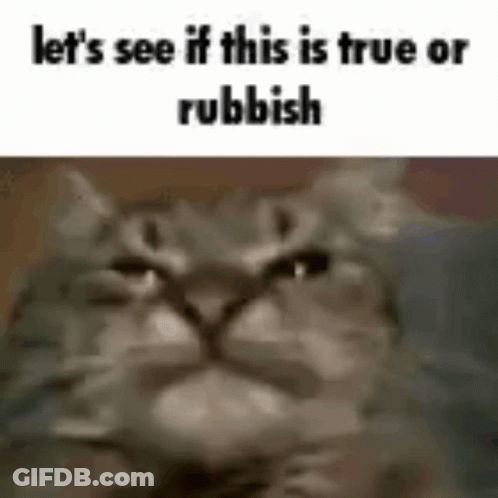 A Close Up Of A Cat 'S Face With The Words `` Let 'S See If This Is True Or Rubbish '' GIF