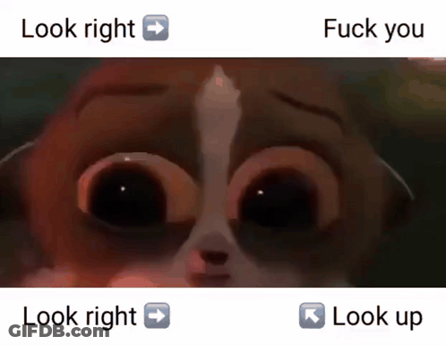 A Close Up Of A Cat 'S Face With The Words Look Right And Fuck You Below It GIF