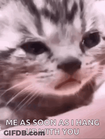 A Close Up Of A Cat 'S Face With The Words `` Me As Soon As I Hang Up With You '' Written Below It . GIF