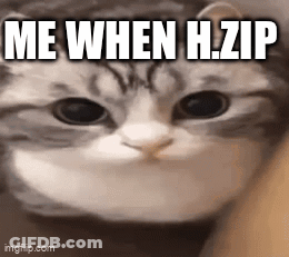 A Close Up Of A Cat 'S Face With The Words `` Me When H.zip '' Written On It . GIF