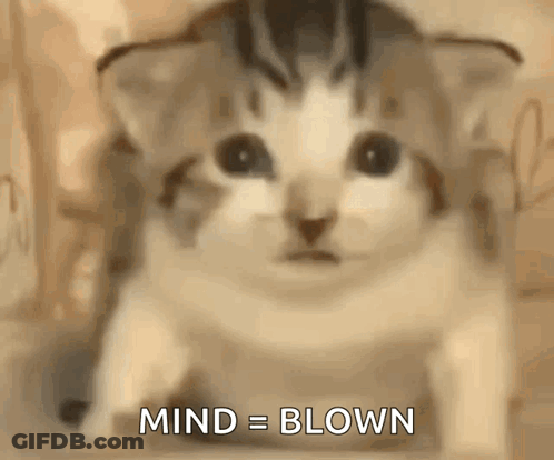 A Close Up Of A Cat 'S Face With The Words `` Mind = Blown '' Written Below It . GIF