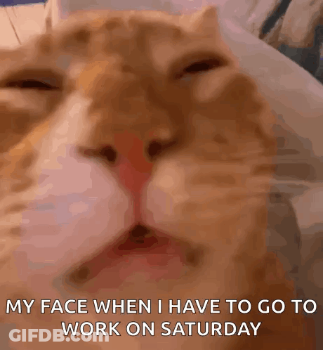 A Close Up Of A Cat 'S Face With The Words My Face When I Have To Go To Work On Saturday GIF