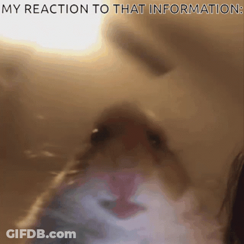 A Close Up Of A Cat 'S Face With The Words " My Reaction To That Information " Below It GIF
