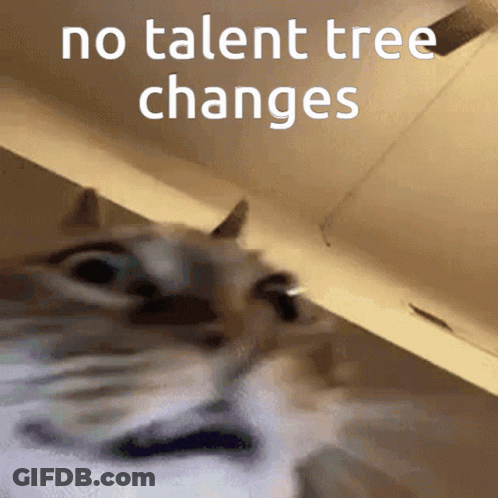 A Close Up Of A Cat 'S Face With The Words No Talent Tree Changes Above It GIF