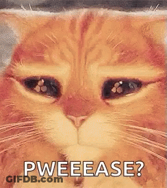 A Close Up Of A Cat 'S Face With The Words Pweease Written Below It GIF