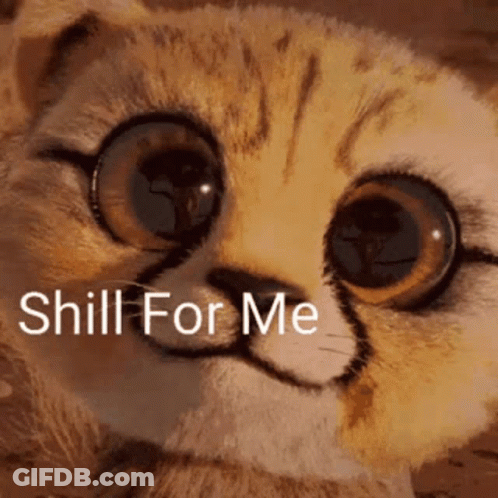 A Close Up Of A Cat 'S Face With The Words `` Shill For Me '' Written Below It . GIF