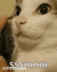 A Close Up Of A Cat 'S Face With The Words `` Ssshhhh '' Written In White Letters . GIF