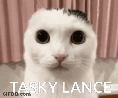 Close Up Of Cat Face With Tasky Lance GIF