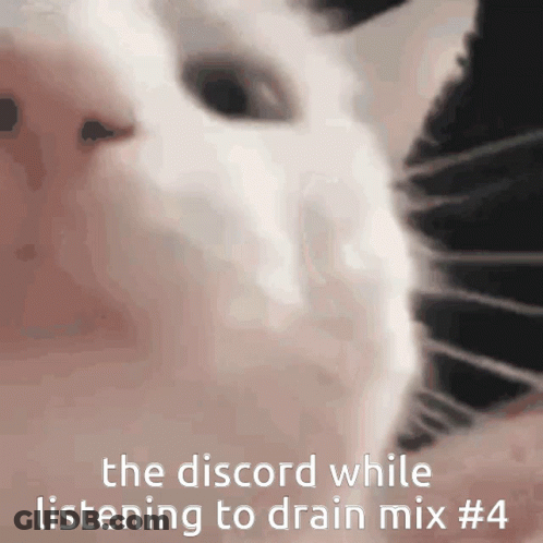 A Close Up Of A Cat 'S Face With The Words " The Discord While Listening To Drain Mix # 4 " GIF