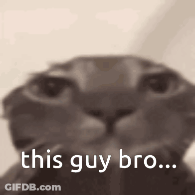 A Close Up Of A Cat 'S Face With The Words `` This Guy Bro '' Written In White Letters . GIF