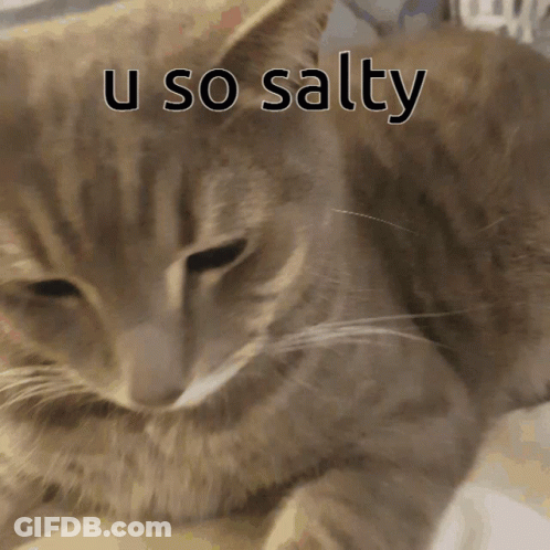 A Close Up Of A Cat 'S Face With The Words U So Salty Written Above It GIF