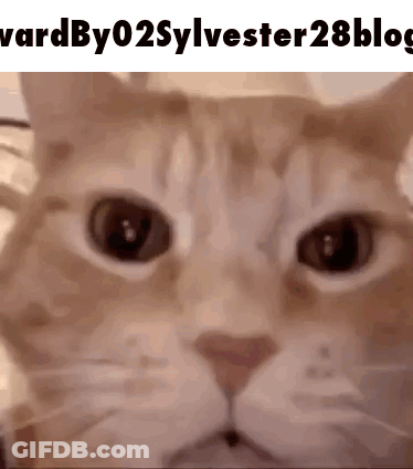 A Close Up Of A Cat 'S Face With The Words " Vardby02sylvester28blog " Above It GIF