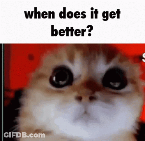 A Close Up Of A Cat 'S Face With The Words `` When Does It Get Better ? '' Written Above It . GIF