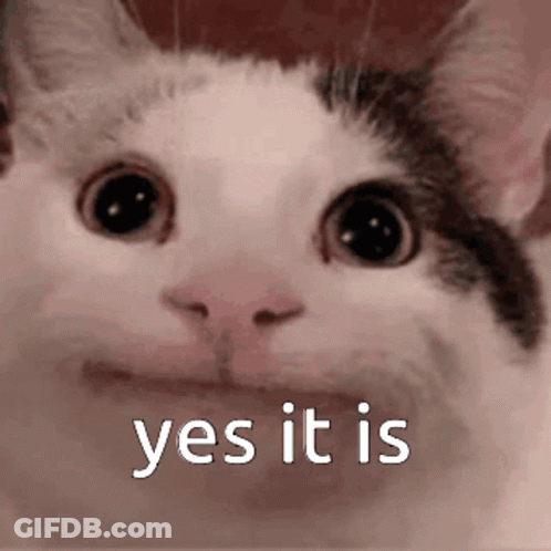 A Close Up Of A Cat 'S Face With The Words `` Yes It Is '' Written Below It . GIF