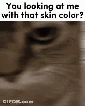 A Close Up Of A Cat 'S Face With The Words You Looking At Me With That Skin Color GIF