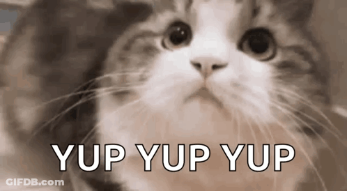 A Close Up Of A Cat 'S Face With The Words Yup Yup Yup Written Next To It . GIF
