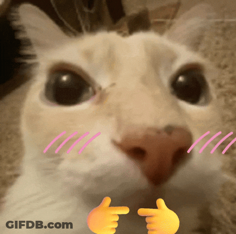 A Close Up Of A Cat 'S Face With Two Hands Pointing Towards It GIF