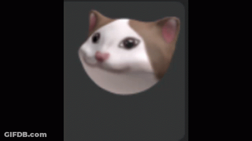 A Close Up Of A Cat 'S Head On A Black Background GIF